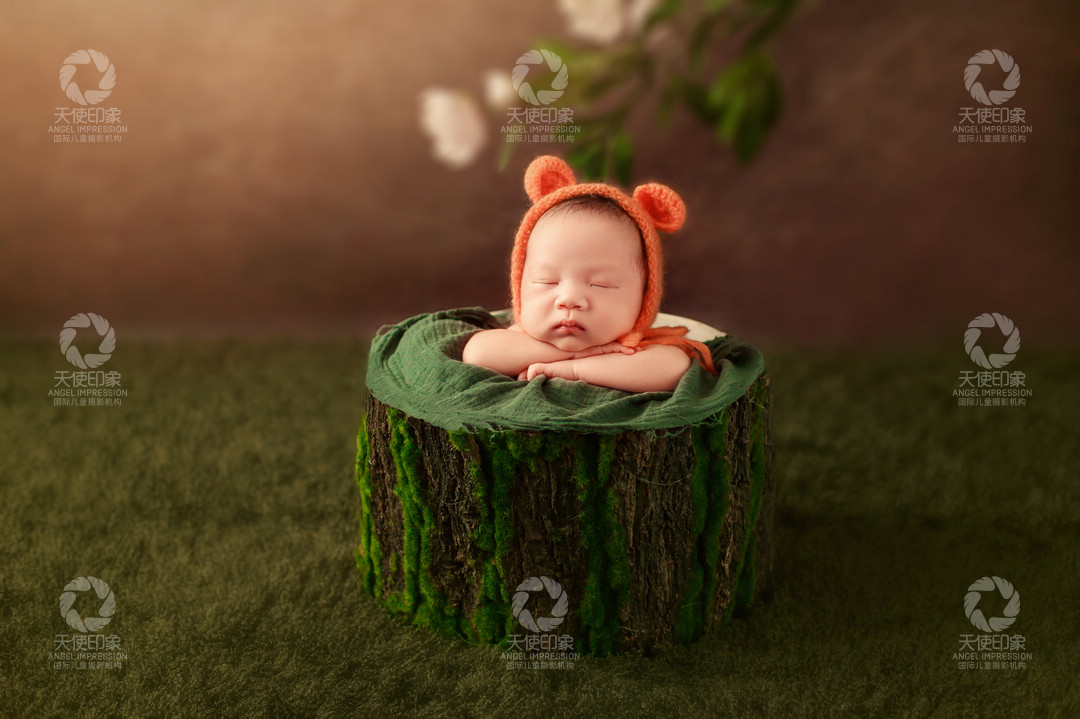 初生之犊_成都儿童摄影_花锦馆