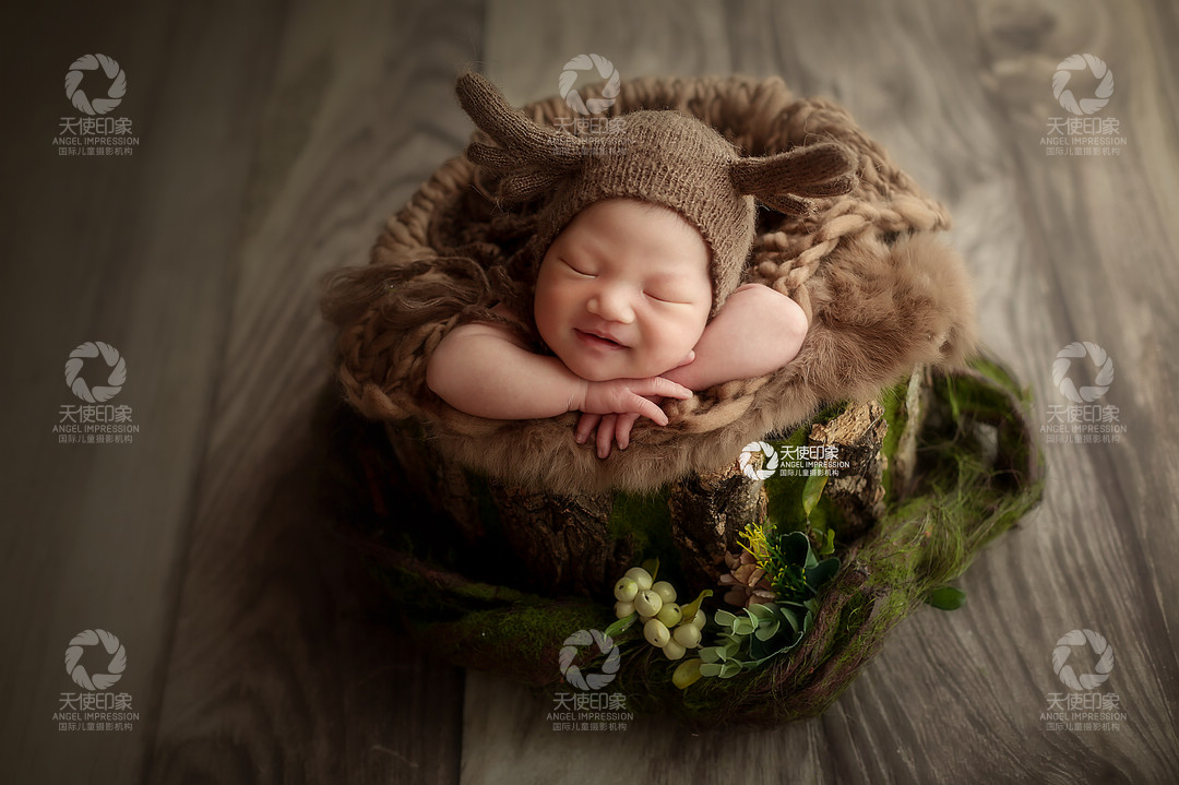 初生之犊_成都儿童摄影_花锦馆