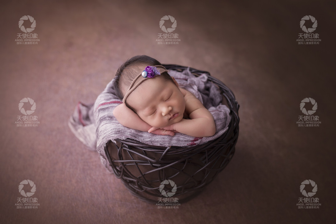 初生之犊_成都儿童摄影_花锦馆