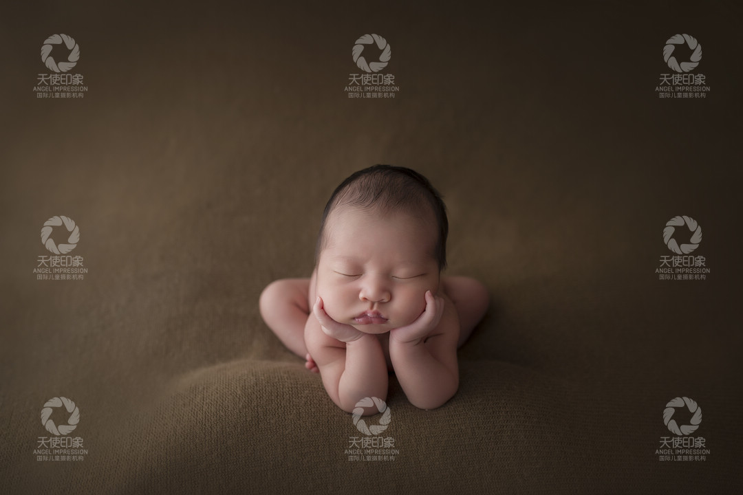 初生之犊_成都儿童摄影_花锦馆