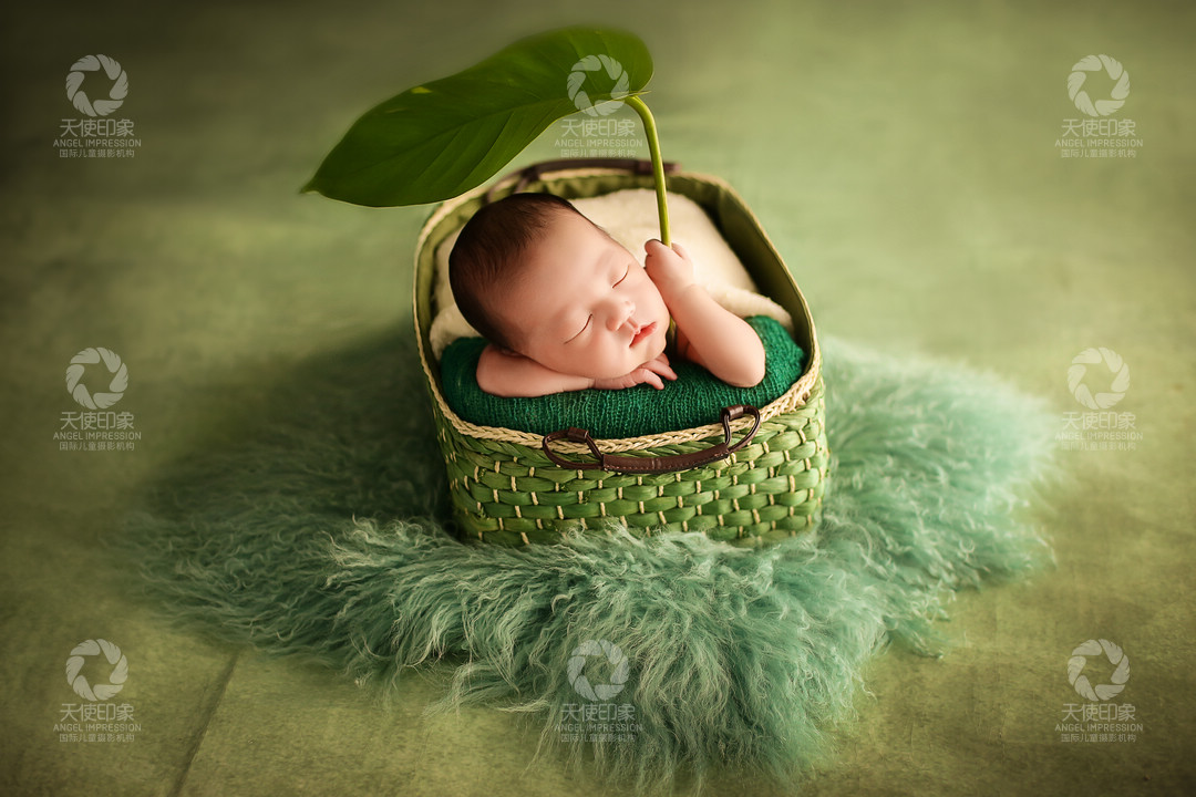 绿叶风情_成都儿童摄影_万达馆