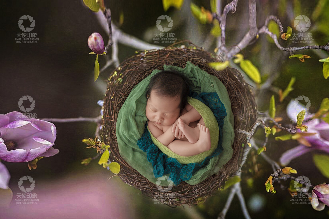 森之希望_成都儿童摄影_北欧馆