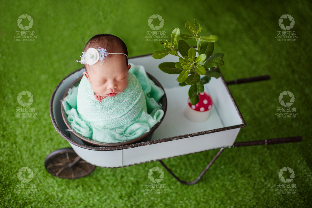 森之希望_成都儿童摄影_北欧馆