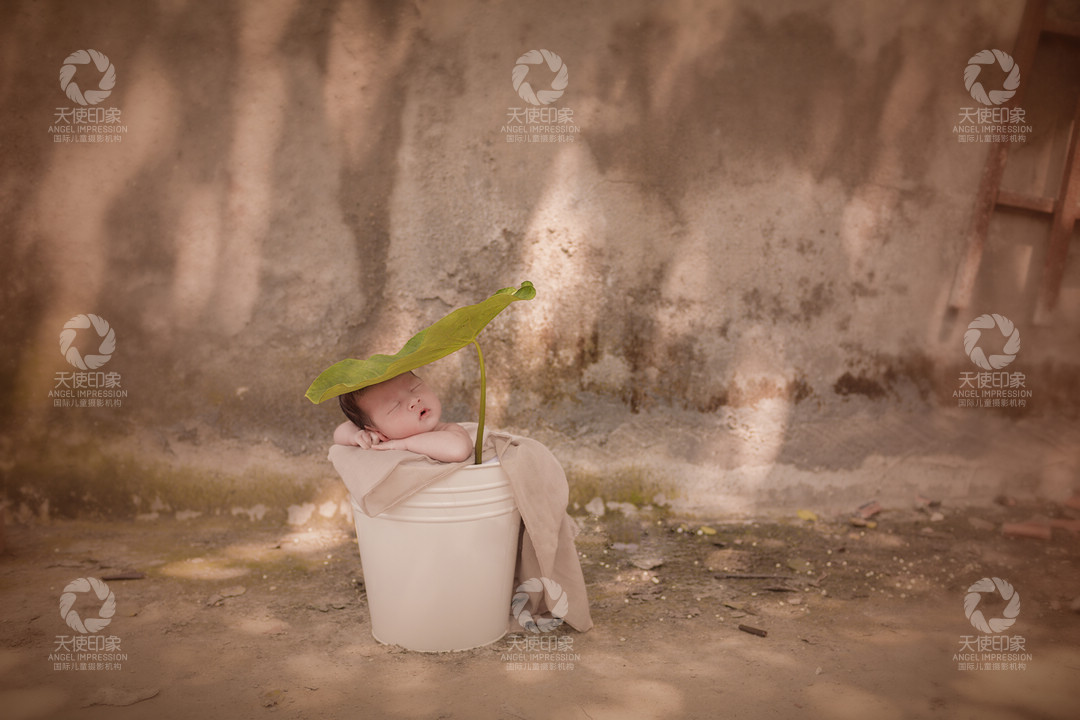 森之希望_成都儿童摄影_北欧馆