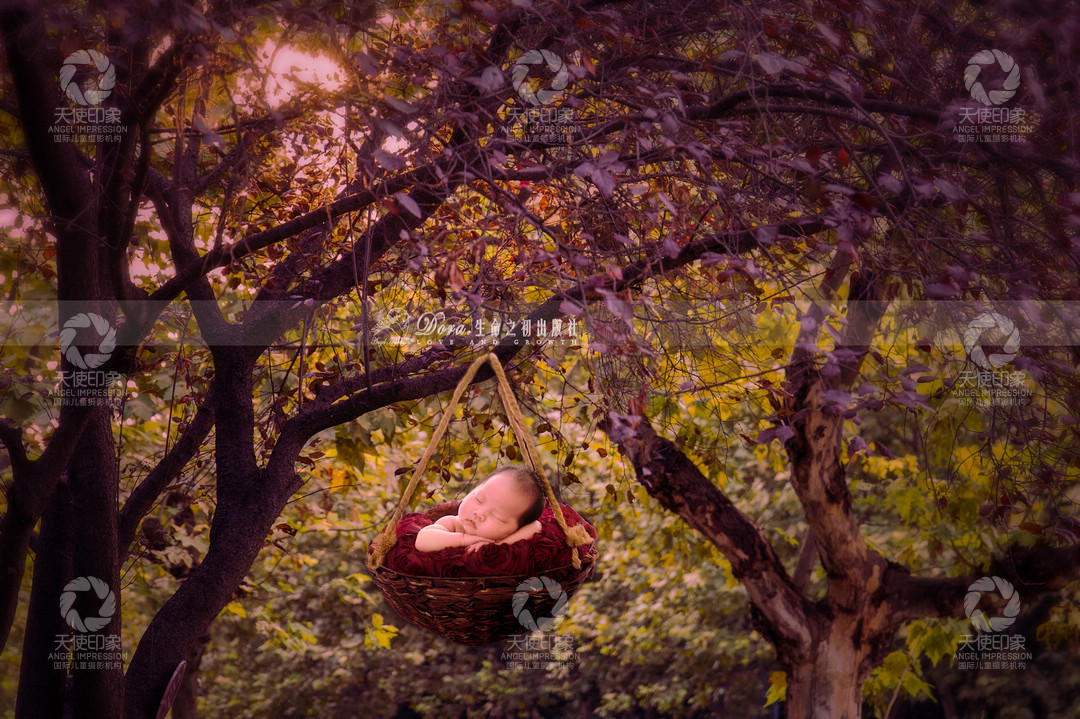 森之希望_成都儿童摄影_北欧馆