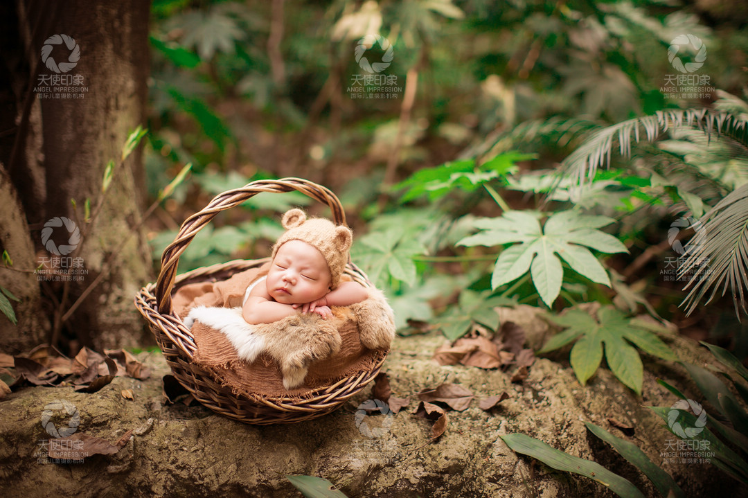 森之希望_成都儿童摄影_北欧馆
