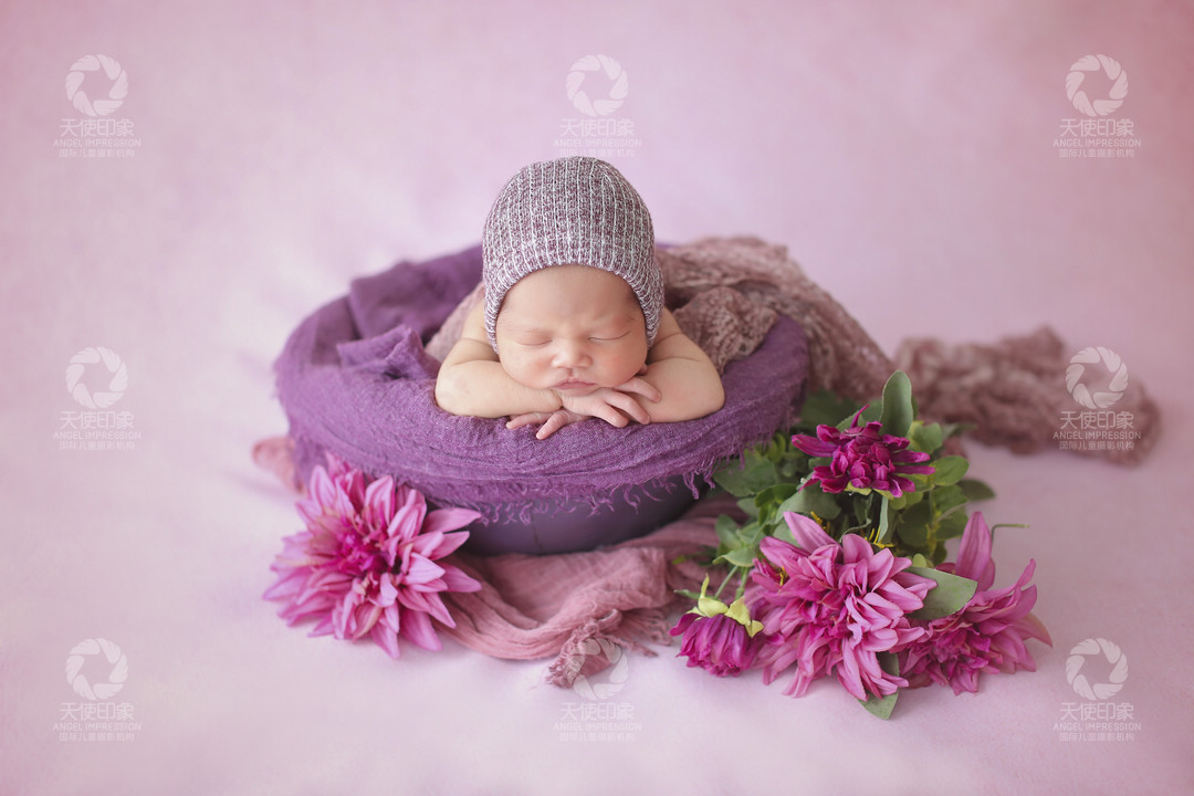 紫色石斛兰_成都儿童摄影_花锦馆