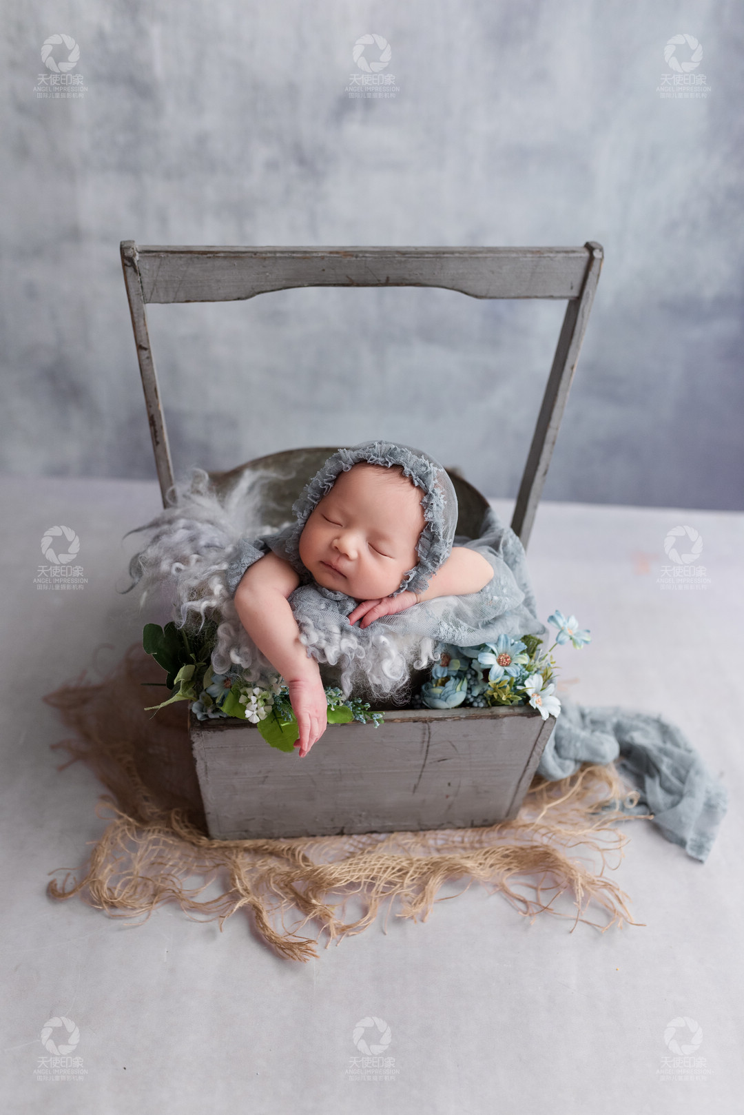 紫色石斛兰_成都儿童摄影_花锦馆