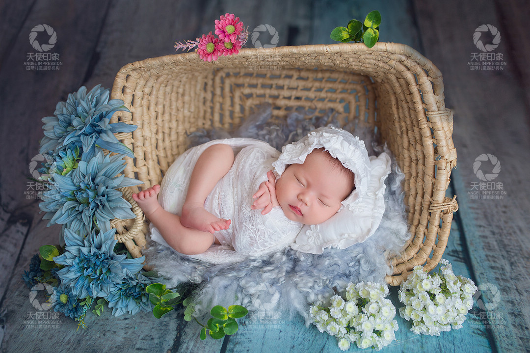 紫色石斛兰_成都儿童摄影_花锦馆