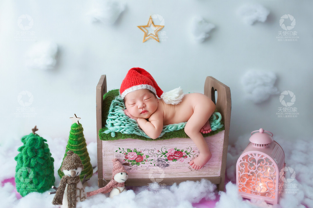 紫色石斛兰_成都儿童摄影_花锦馆