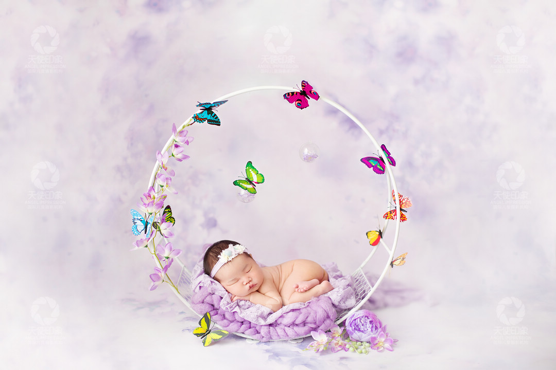 紫色石斛兰_成都儿童摄影_花锦馆