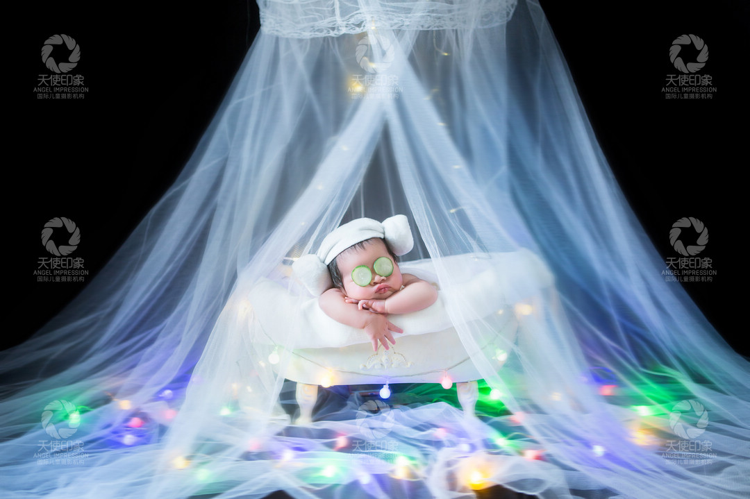 紫色石斛兰_成都儿童摄影_花锦馆