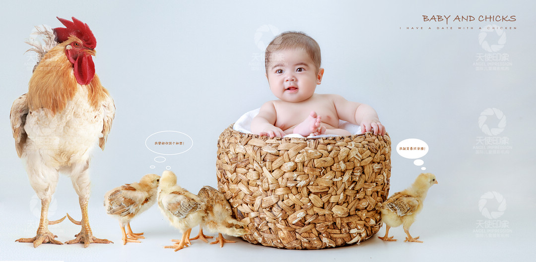 小鸡宝贝_成都儿童摄影_欧美馆