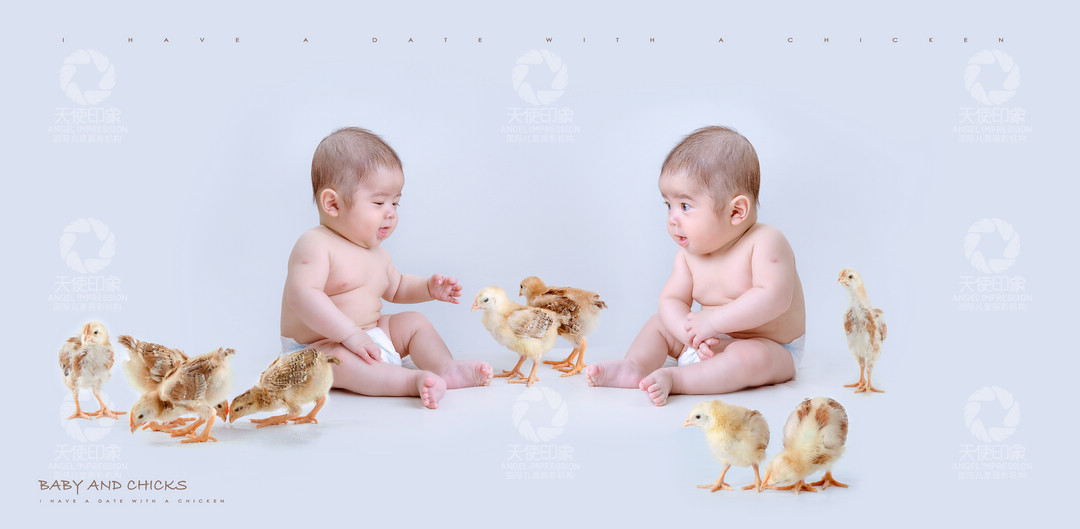 小鸡宝贝_成都儿童摄影_欧美馆