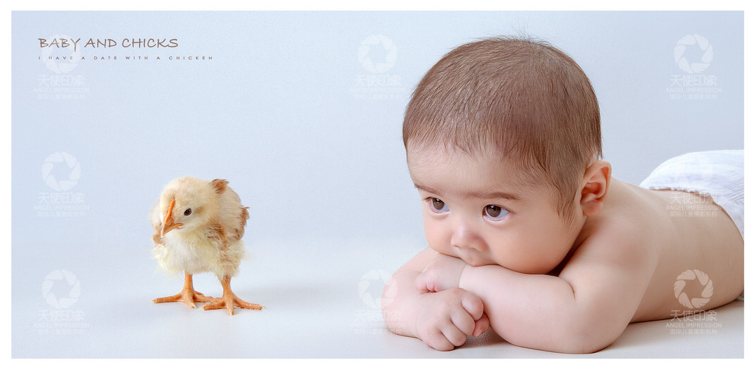 小鸡宝贝_成都儿童摄影_欧美馆