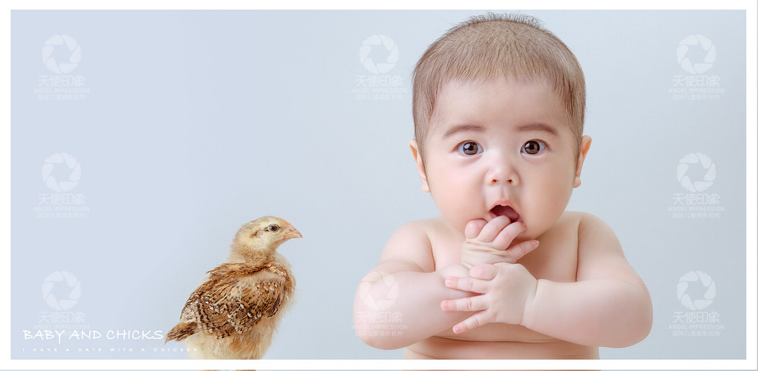 小鸡宝贝_成都儿童摄影_欧美馆