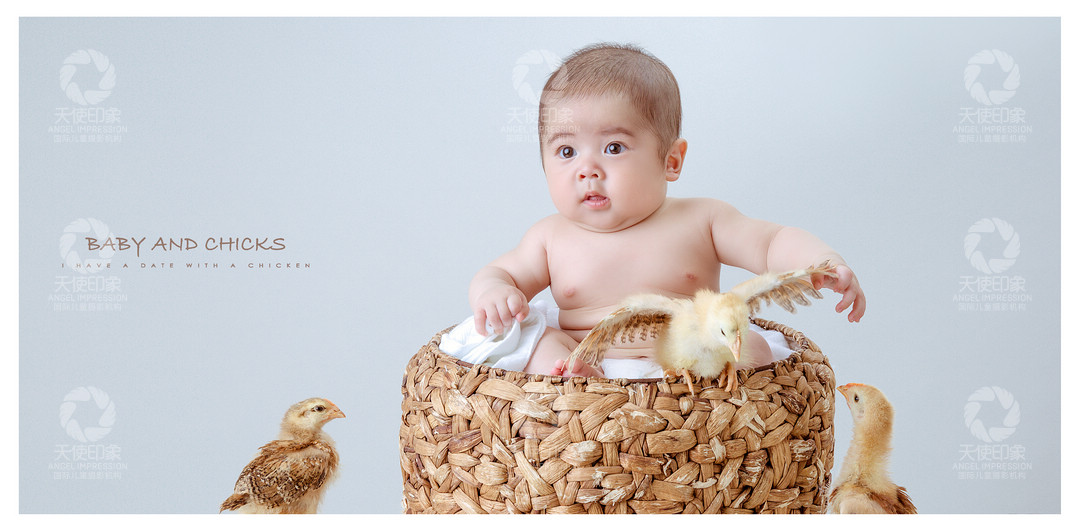 小鸡宝贝_成都儿童摄影_欧美馆
