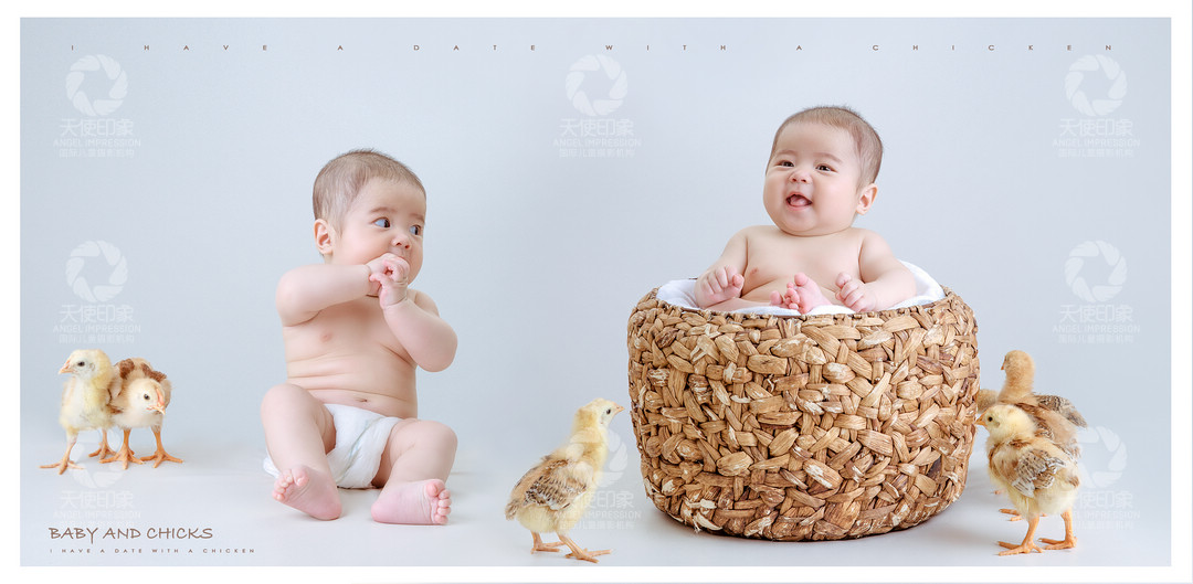 小鸡宝贝_成都儿童摄影_欧美馆