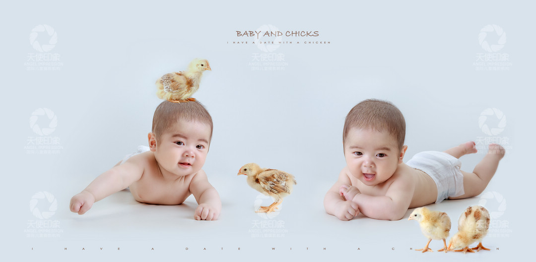 小鸡宝贝_成都儿童摄影_欧美馆