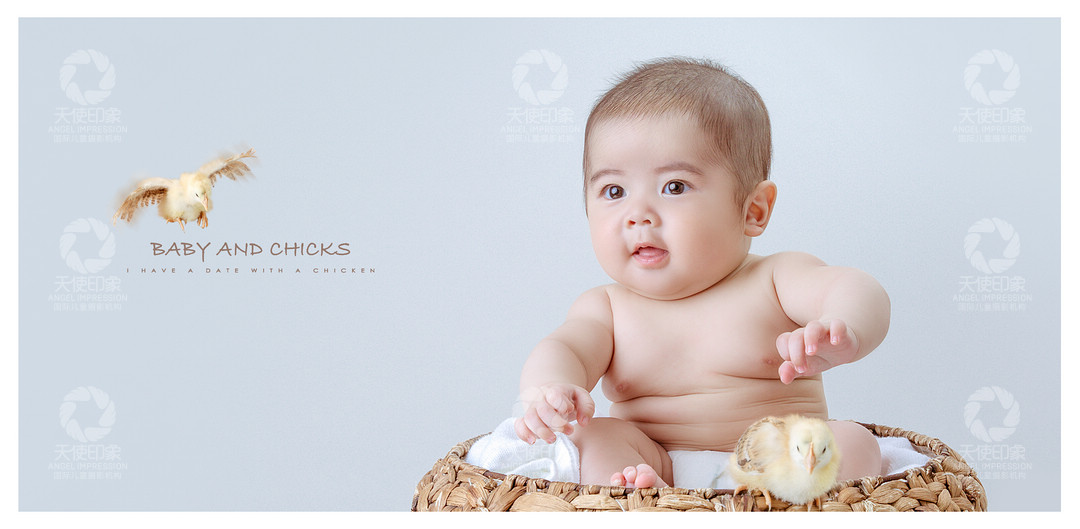 小鸡宝贝_成都儿童摄影_欧美馆