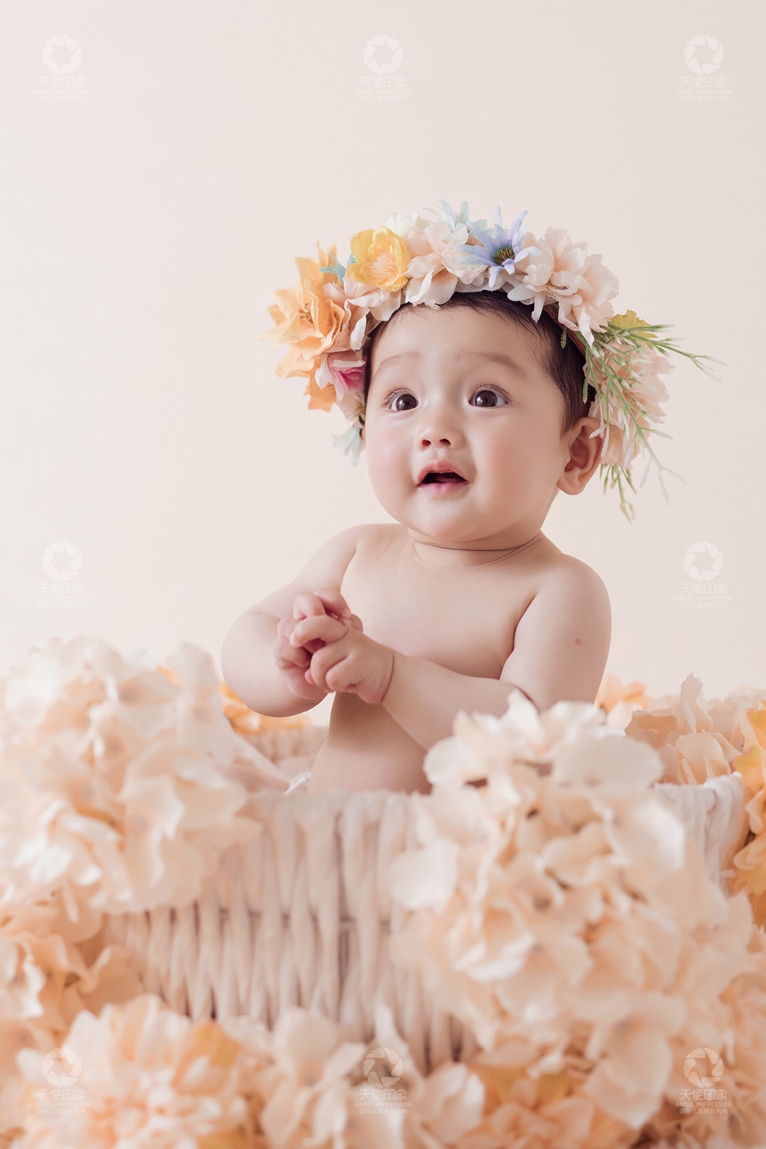 花盏精灵_成都儿童摄影_欧美馆