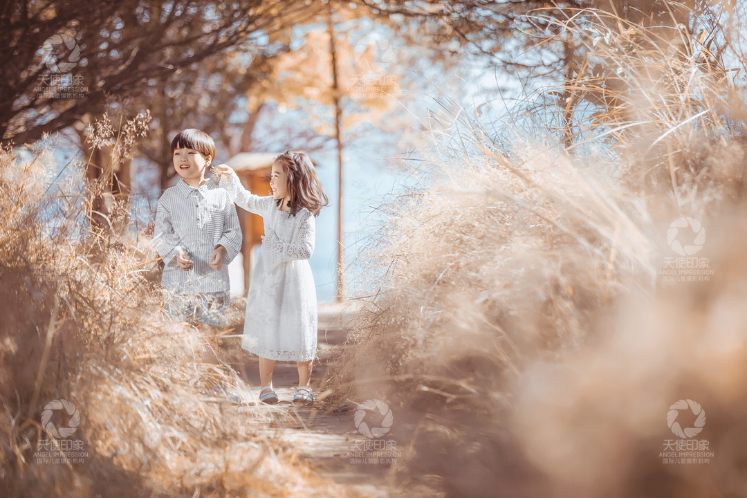 晨晓暮烟_成都全家福摄影_轻奢馆
