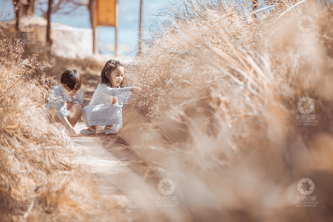 晨晓暮烟_成都全家福摄影_轻奢馆