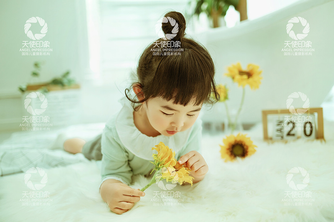 向日葵的祈愿_宝宝照