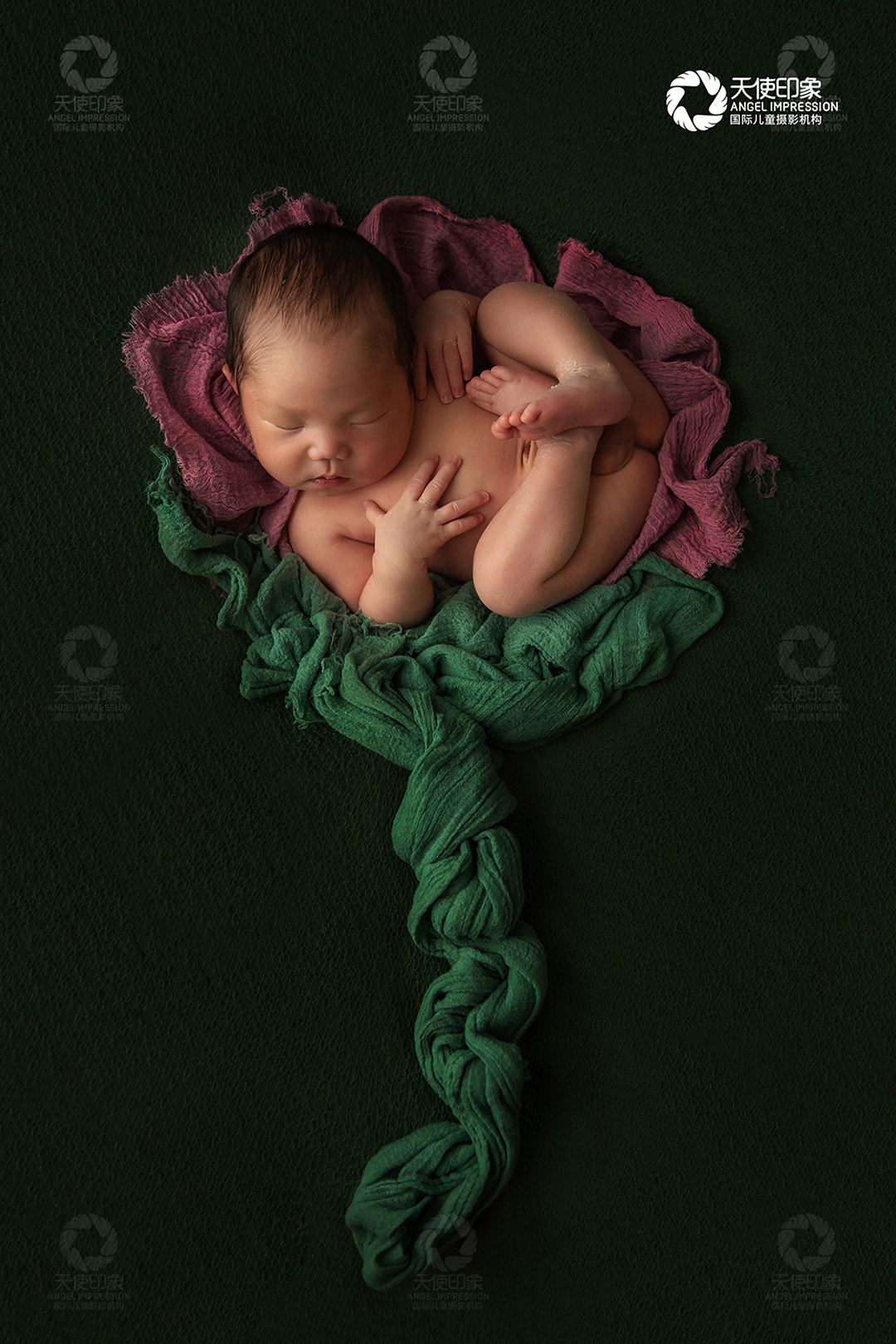 独“束”一格_成都婴儿摄影