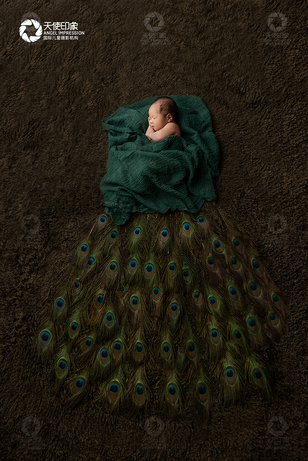 雀舞_成都婴儿摄影