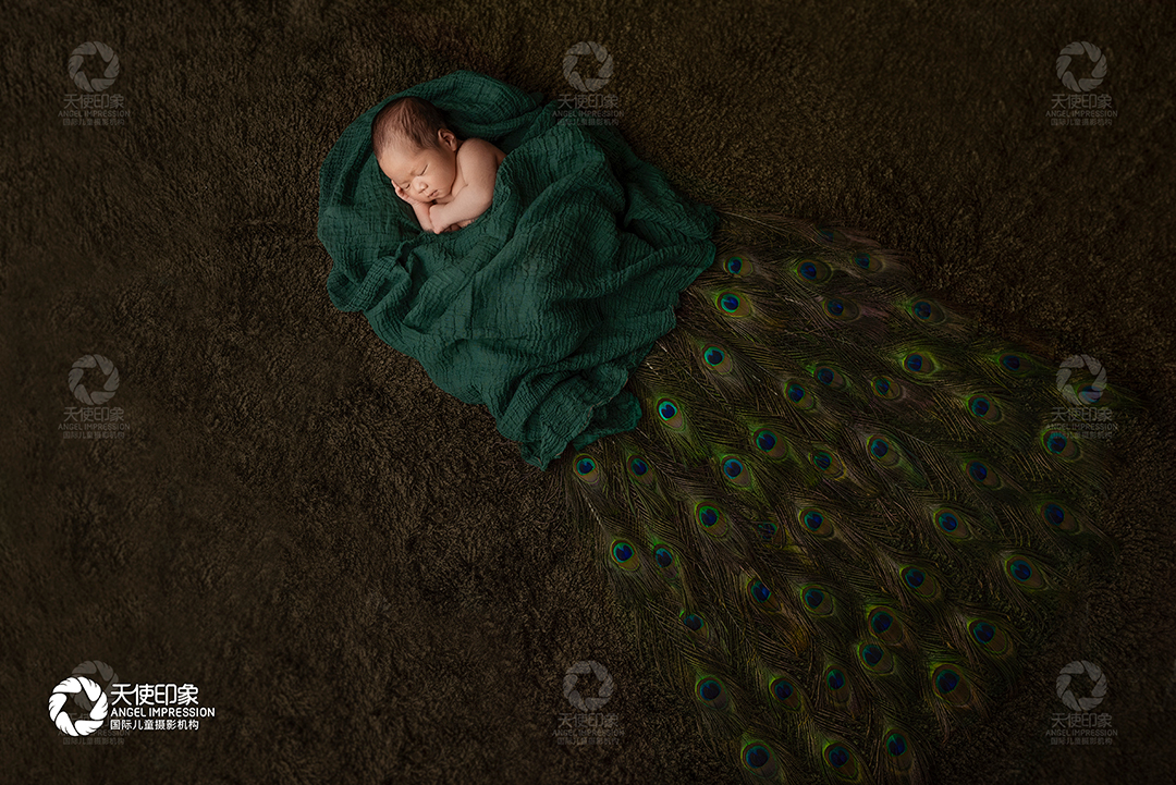 雀舞_成都婴儿摄影