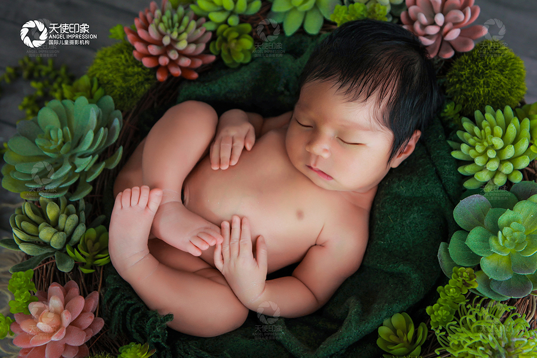 独“束”一格_成都婴儿摄影