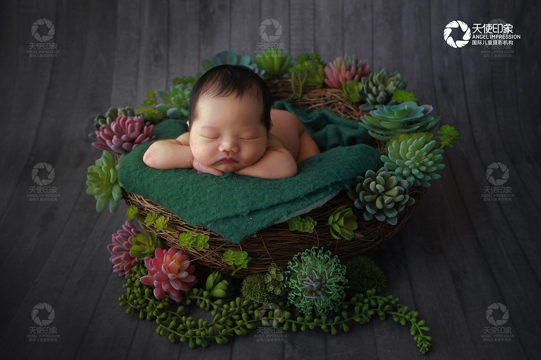 独“束”一格_成都婴儿摄影