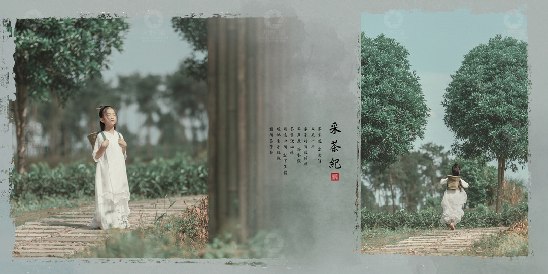采茶纪_成都儿童摄影