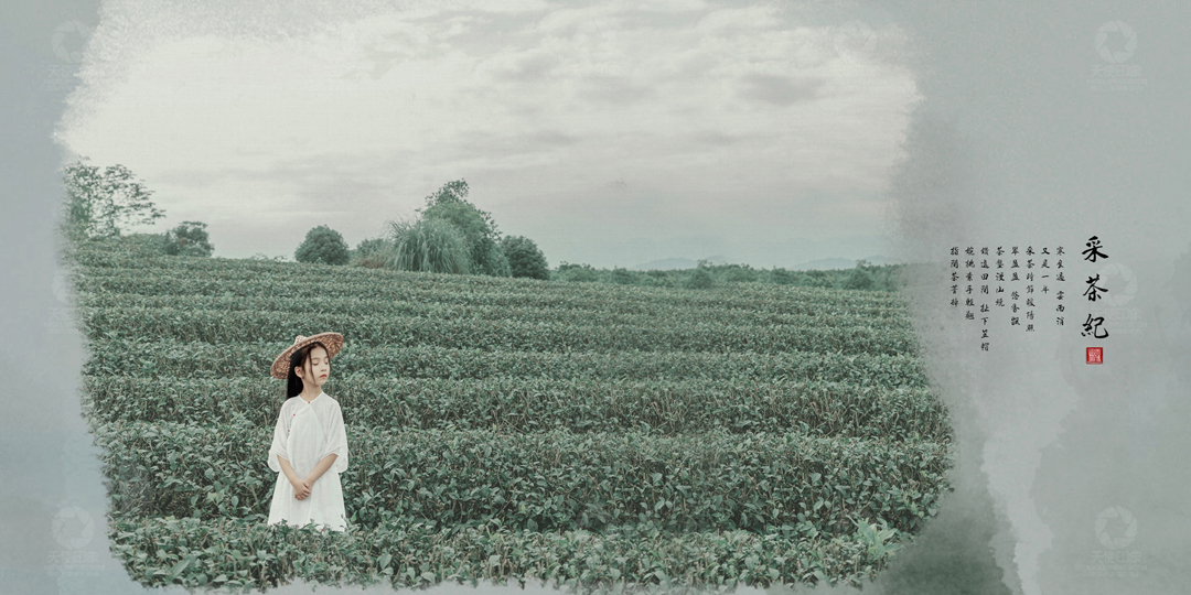 采茶纪_成都儿童摄影