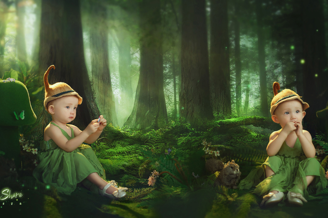 伯利夏尔的森林_宝宝照