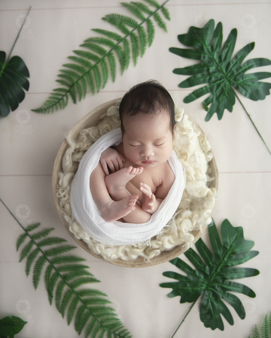 热带雨林_热带雨林