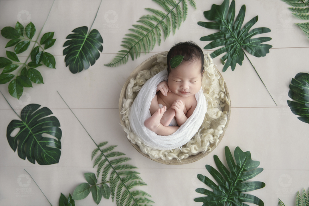 热带雨林_热带雨林