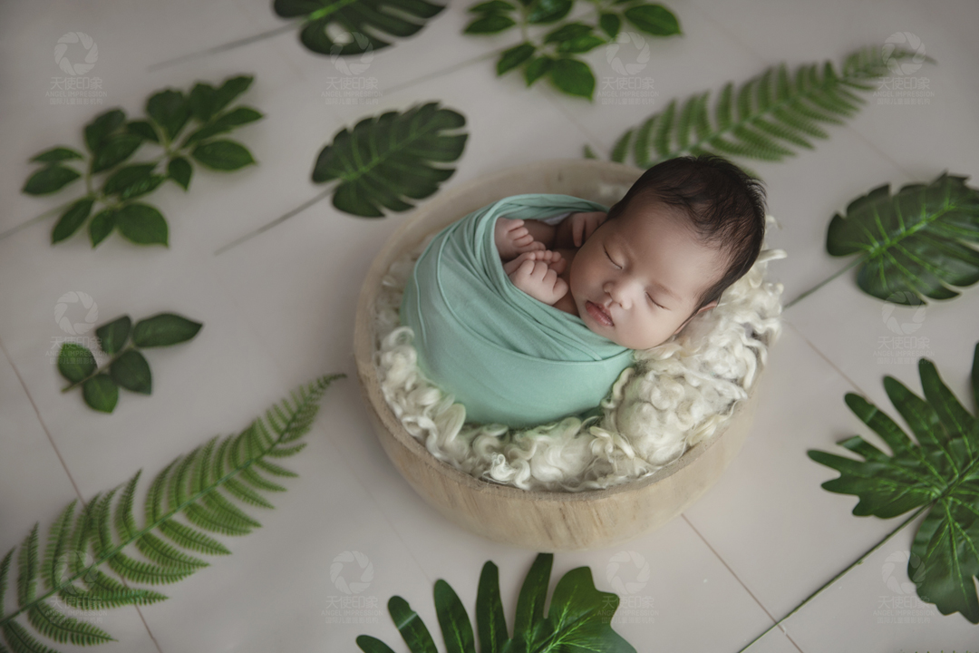 热带雨林_热带雨林