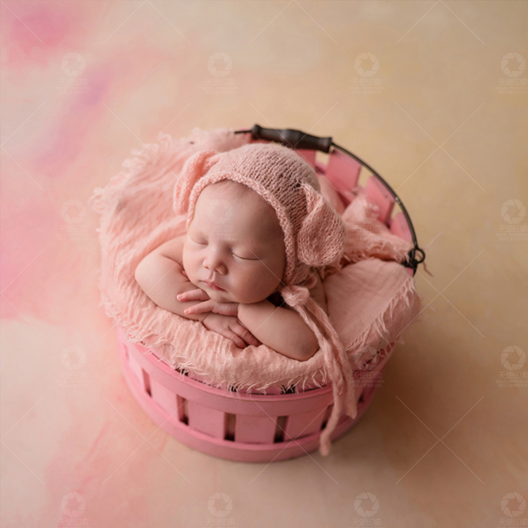 “晶晶”的绽放_