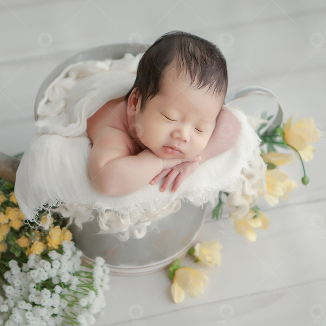 “晶晶”的绽放_