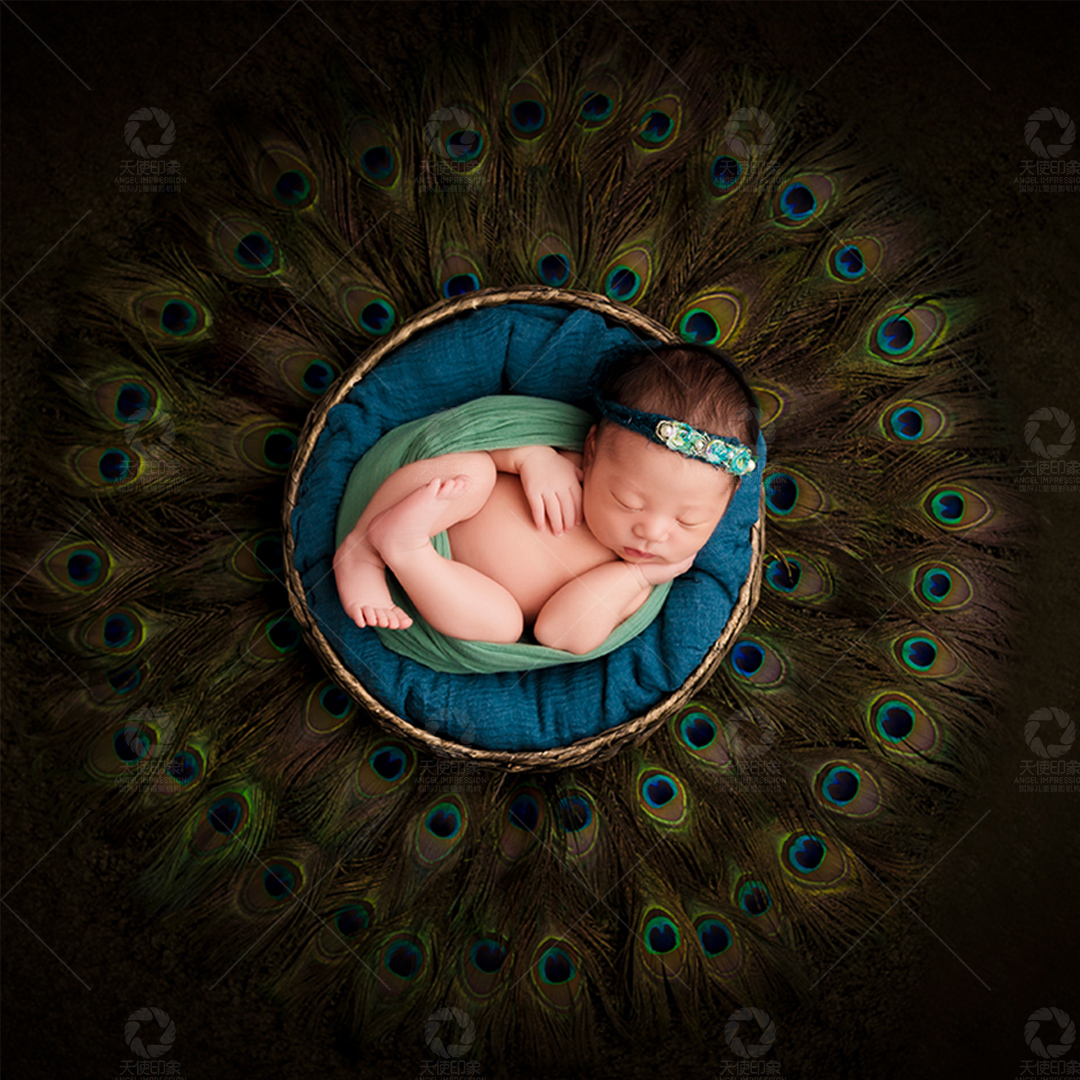 “晶晶”的绽放_