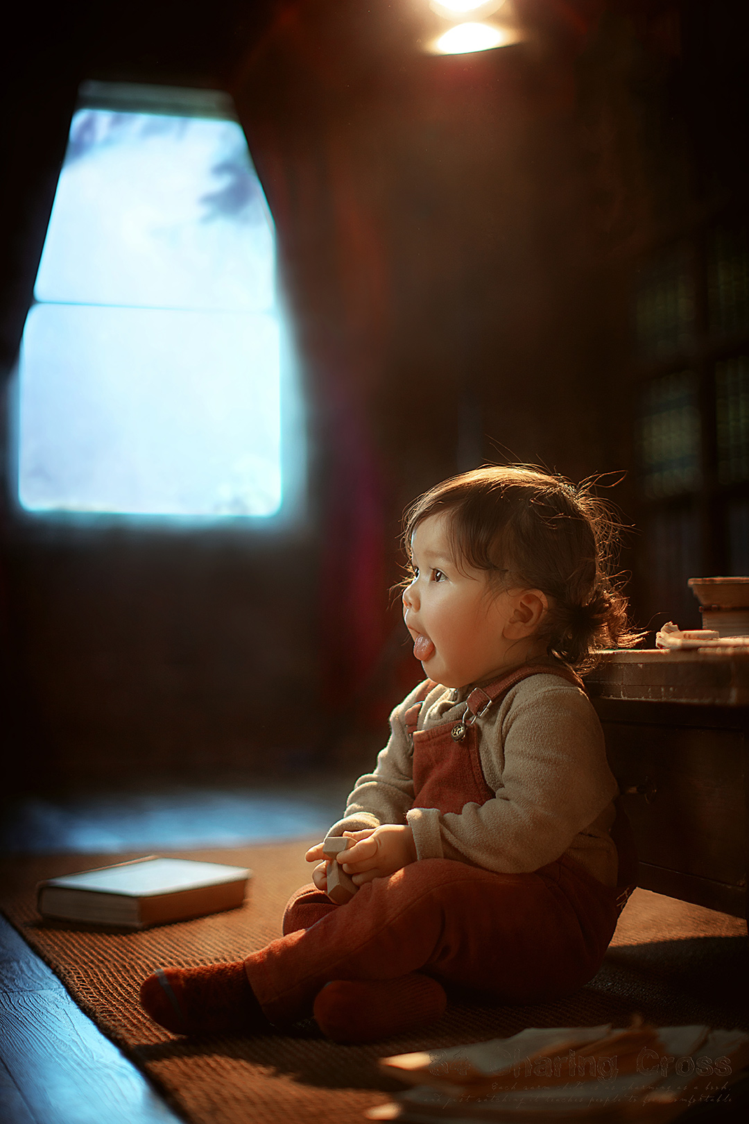 查令十字街84号_成都宝宝照