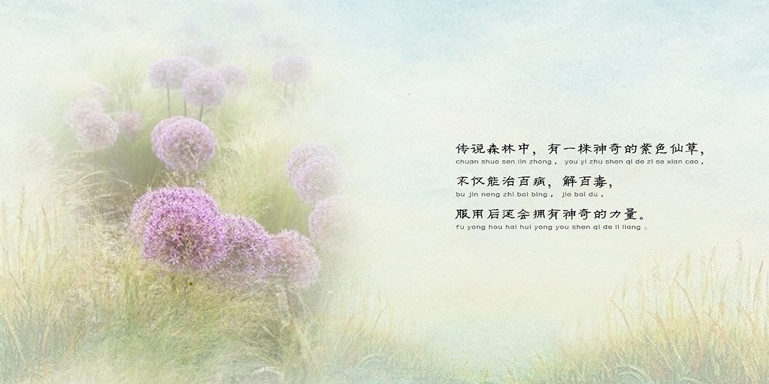 牧鹅姑娘上集_成都儿童照，高端定制主题