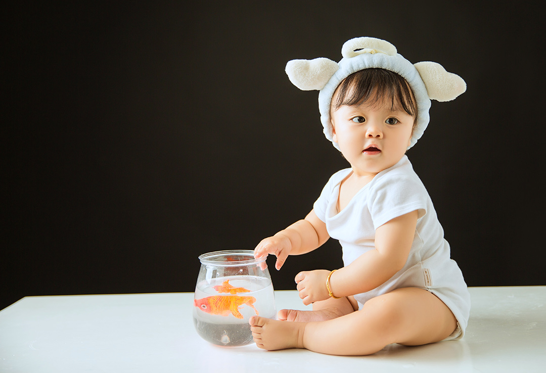 金鱼宝贝_成都宝宝照