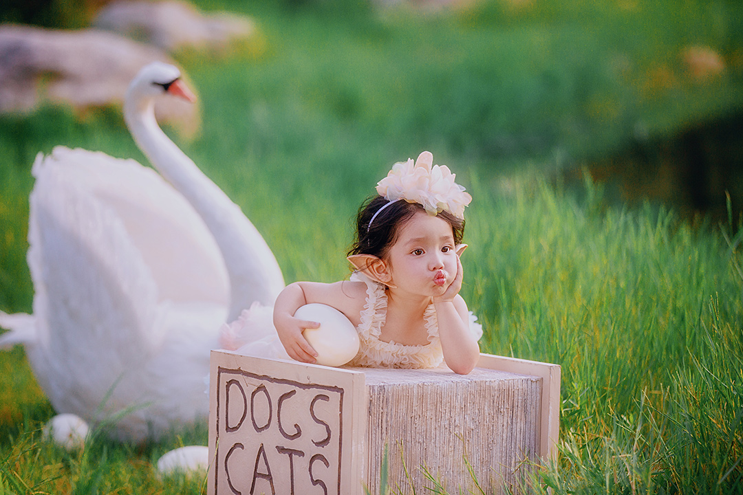 天鹅湖_成都宝宝照，周岁照