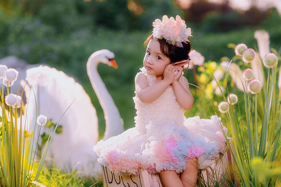 天鹅湖_成都宝宝照，周岁照