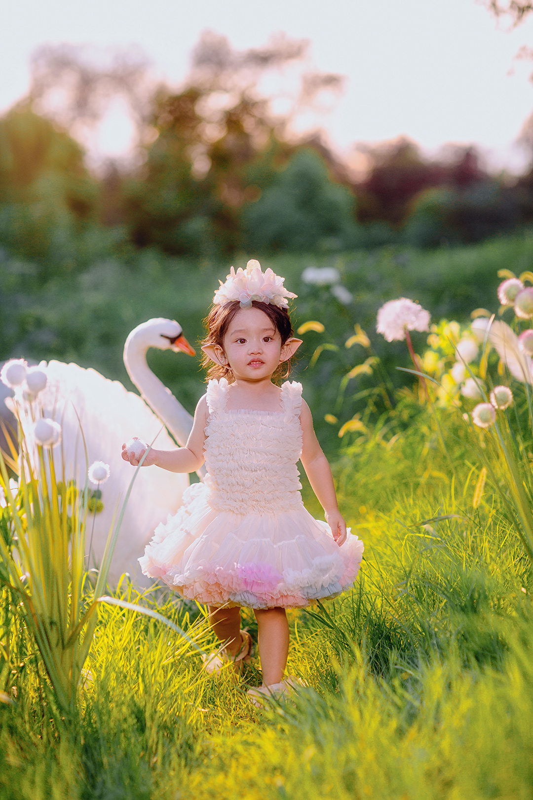 天鹅湖_成都宝宝照，周岁照