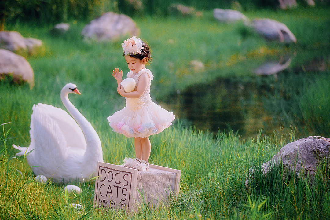 天鹅湖_成都宝宝照，周岁照