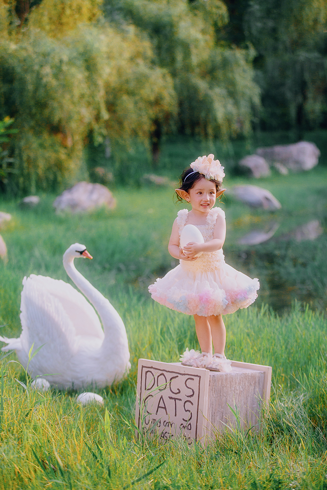 天鹅湖_成都宝宝照，周岁照